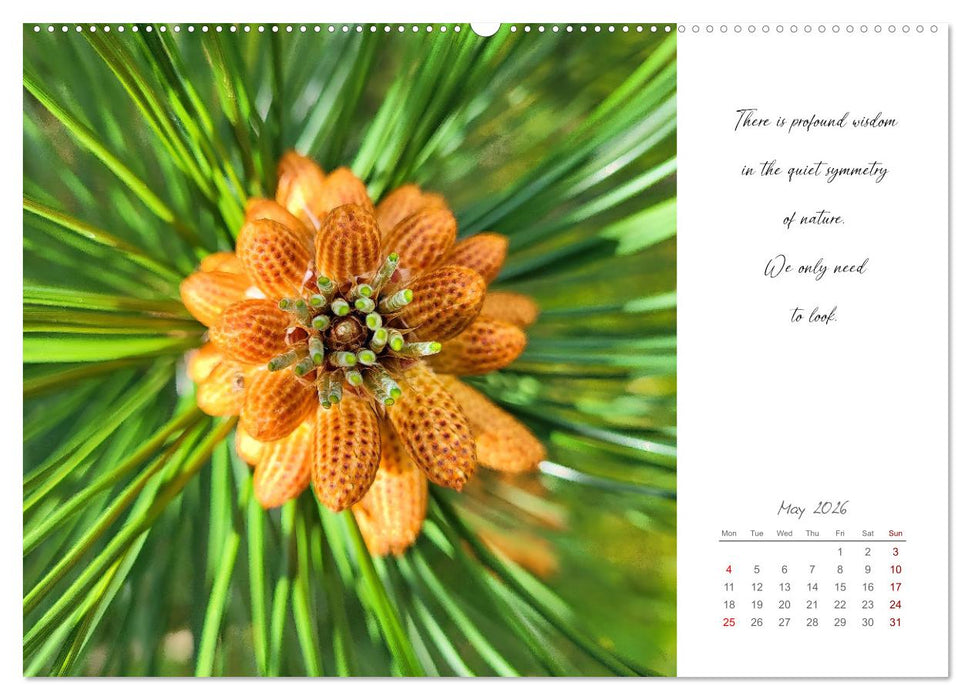 Golden breaks with mindfulness (CALVENDO Monthly Calendar 2026)