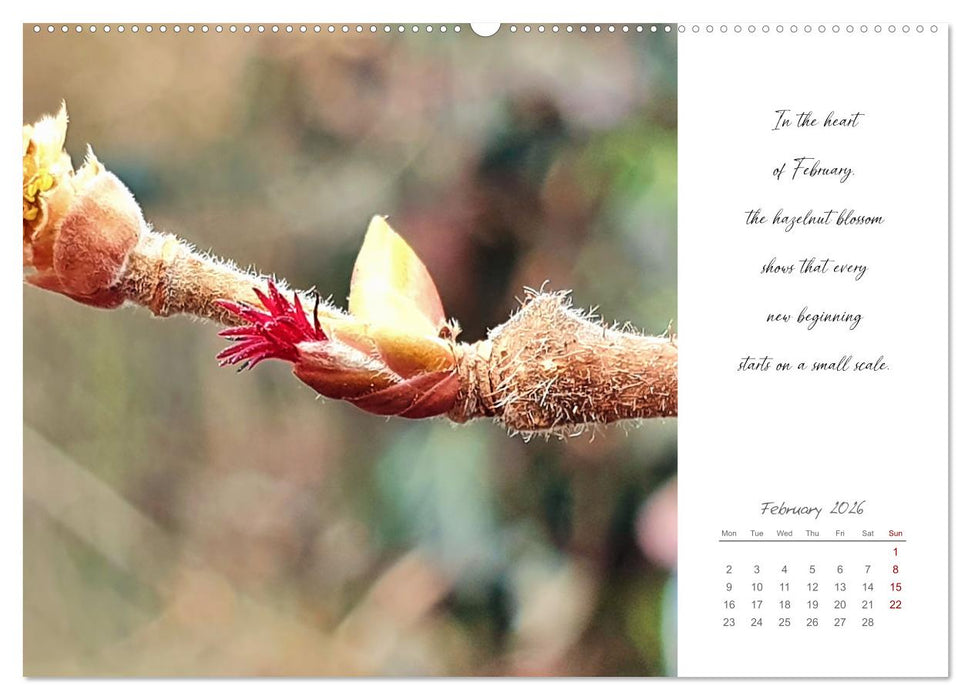 Golden breaks with mindfulness (CALVENDO Premium-Calendar 2026)