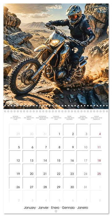 Ride the motocross thrill (CALVENDO Monthly Calendar 2026)