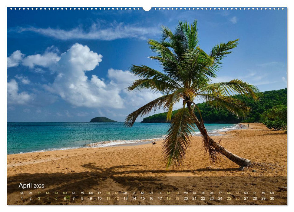 Goadeloupe - Karibische Traumstrände (CALVENDO Wandkalender 2026)
