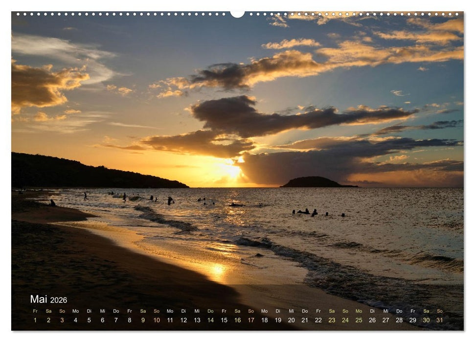 Goadeloupe - Karibische Traumstrände (CALVENDO Wandkalender 2026)