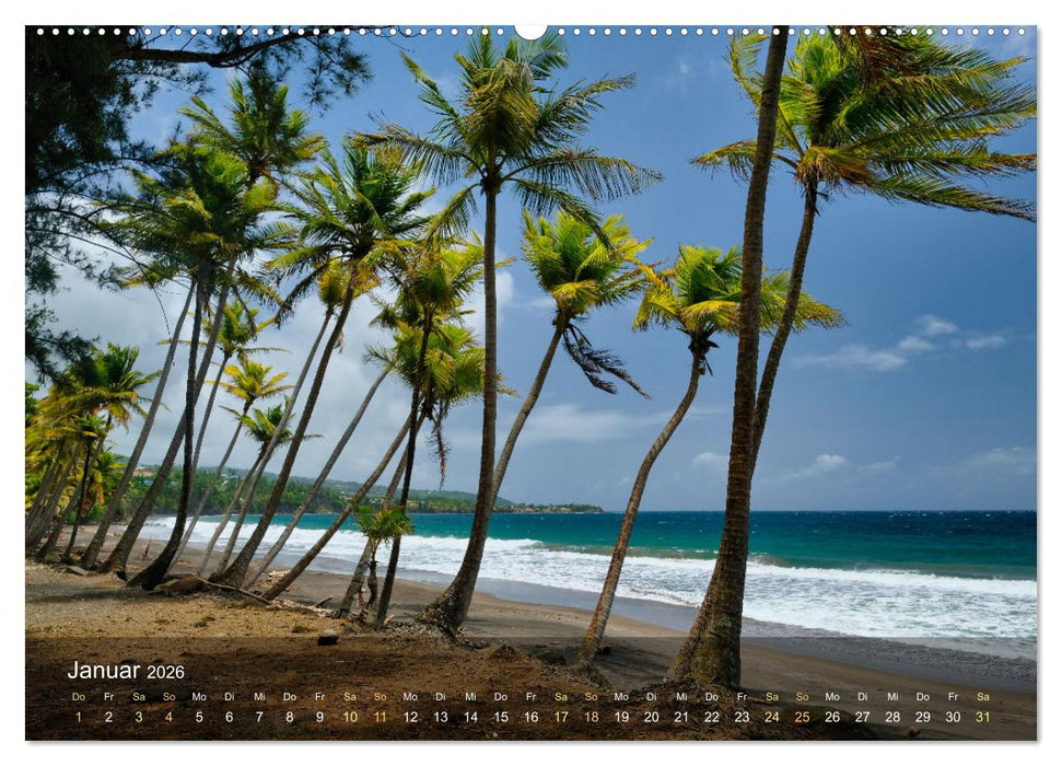 Goadeloupe - Karibische Traumstrände (CALVENDO Premium Wandkalender 2026)