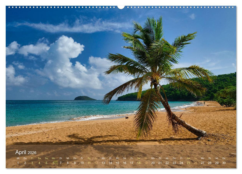 Guadeloupe - Karibische Traumstrände (CALVENDO Premium Wandkalender 2026)