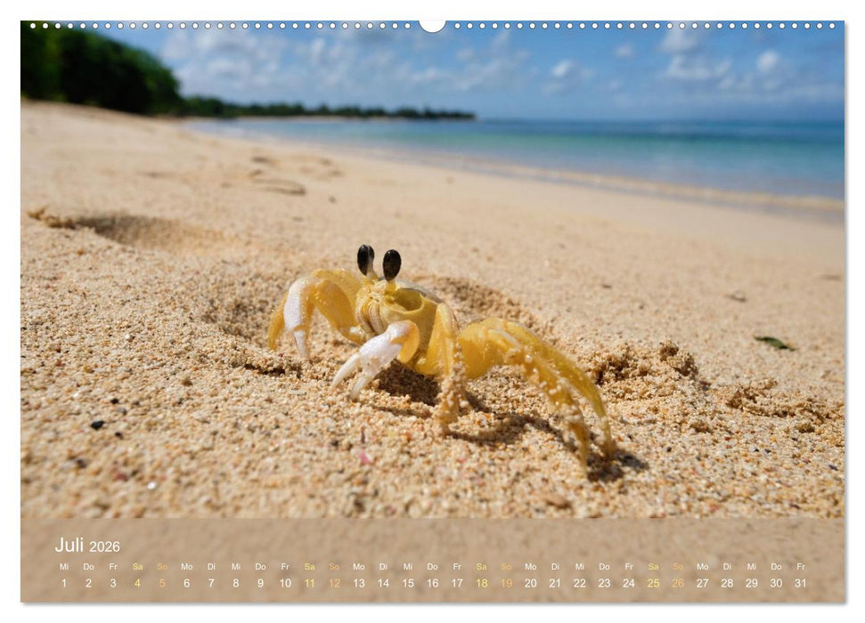 Guadeloupe - Karibische Traumstrände (CALVENDO Premium Wandkalender 2026)