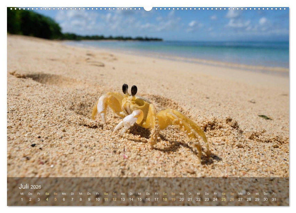 Goadeloupe - Karibische Traumstrände (CALVENDO Premium Wandkalender 2026)