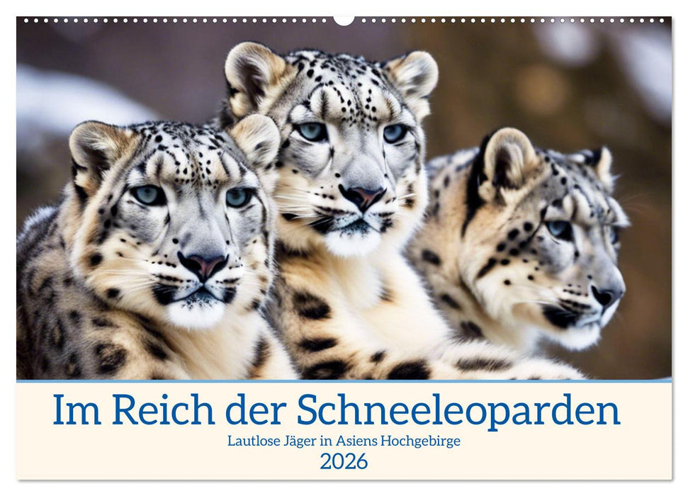 Im Reich der Schneeleoparden (CALVENDO Wandkalender 2026)