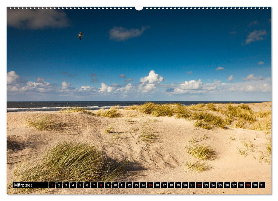 Insel Spiekeroog (CALVENDO Wandkalender 2026)