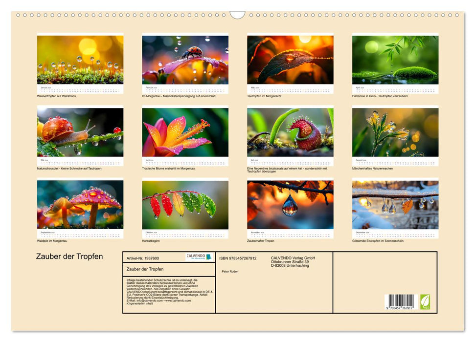 Zauber der Tropfen (CALVENDO Wandkalender 2026)