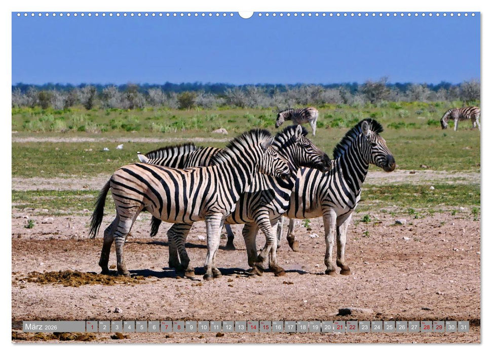 Namibia - Von Nord nach Süd (CALVENDO Wandkalender 2026)