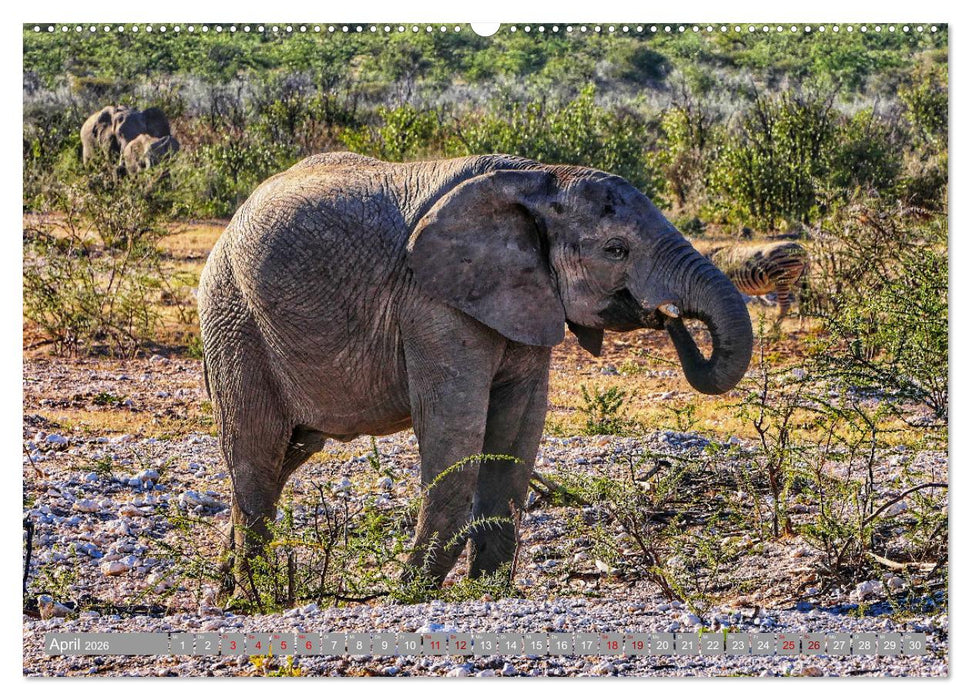 Namibia - Von Nord nach Süd (CALVENDO Wandkalender 2026)