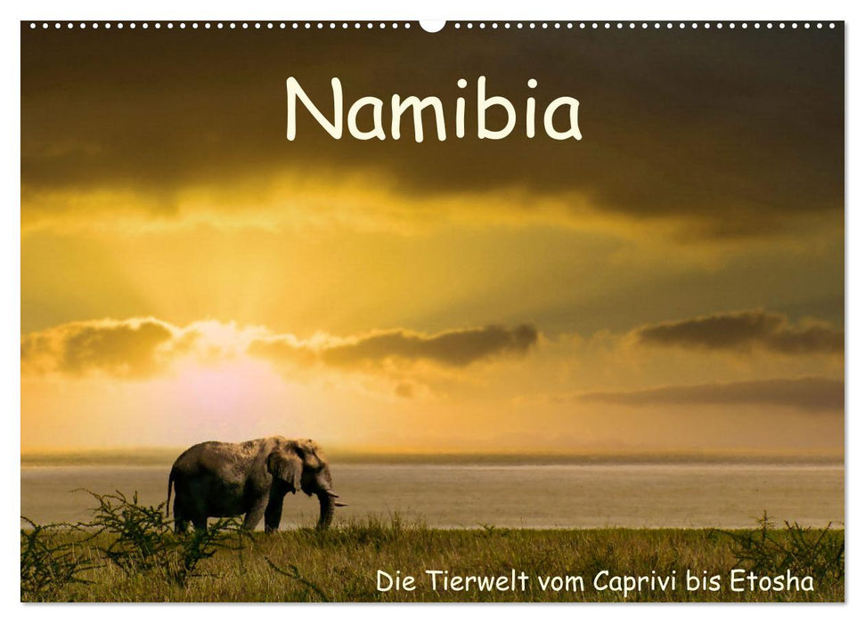 Namibia – Die Tierwelt vom Caprivi bis Etosha (CALVENDO Wandkalender 2026)