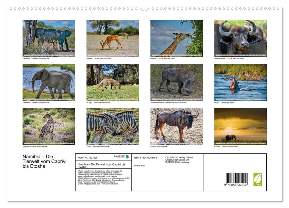 Namibia – Die Tierwelt vom Caprivi bis Etosha (CALVENDO Premium Wandkalender 2026)