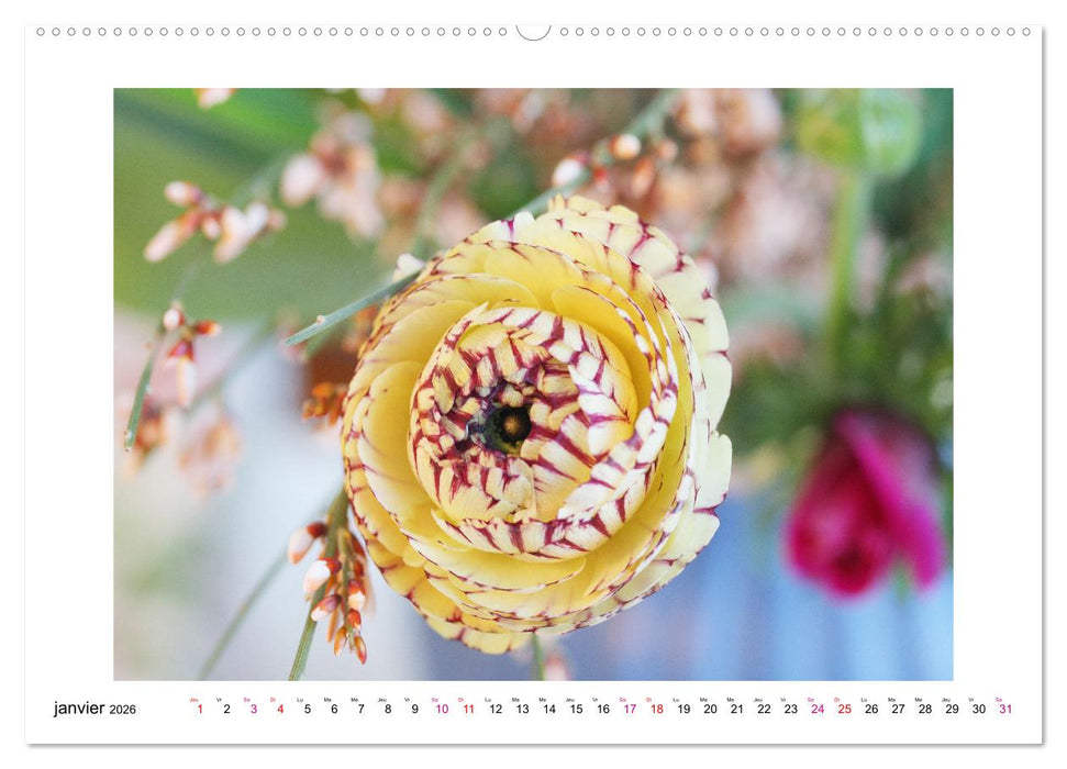 Fleurs - un mélange coloré (CALVENDO Calendrier mensuel 2026)