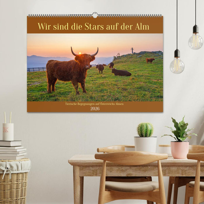 Wir sind die Stars auf der Alm (CALVENDO Wandkalender 2026)