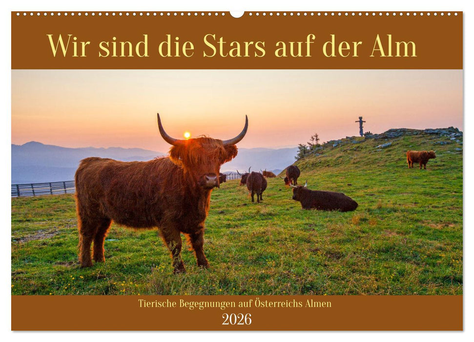 Wir sind die Stars auf der Alm (CALVENDO Wandkalender 2026)