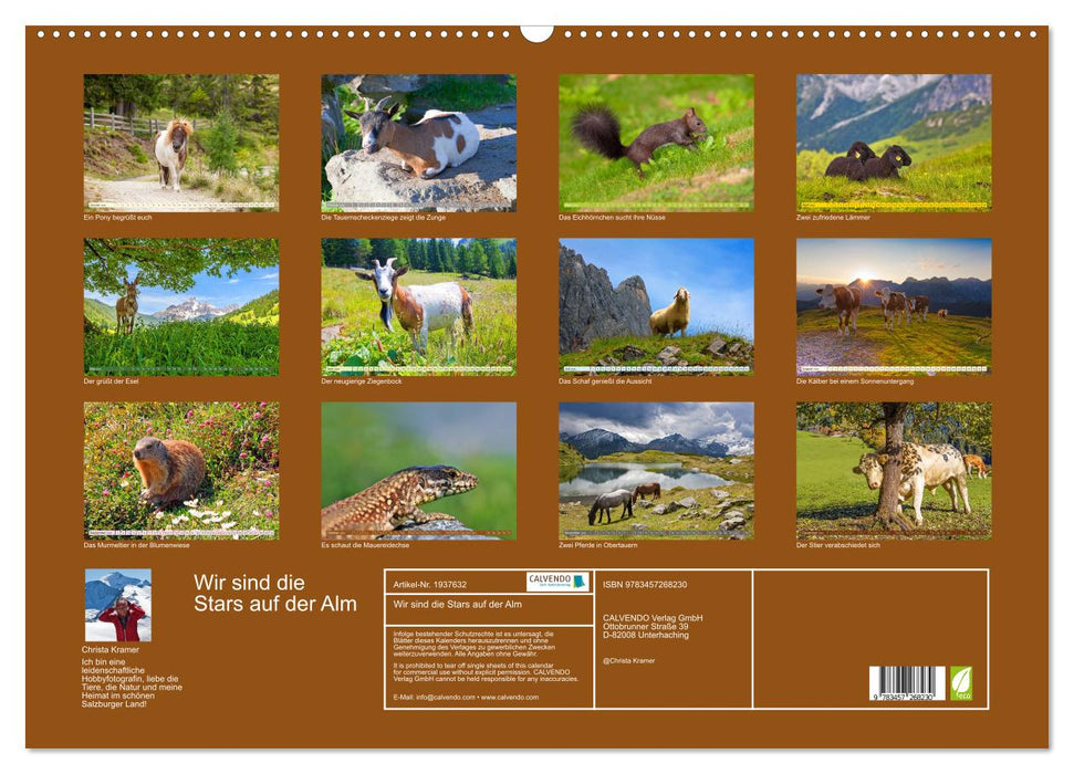 Wir sind die Stars auf der Alm (CALVENDO Wandkalender 2026)