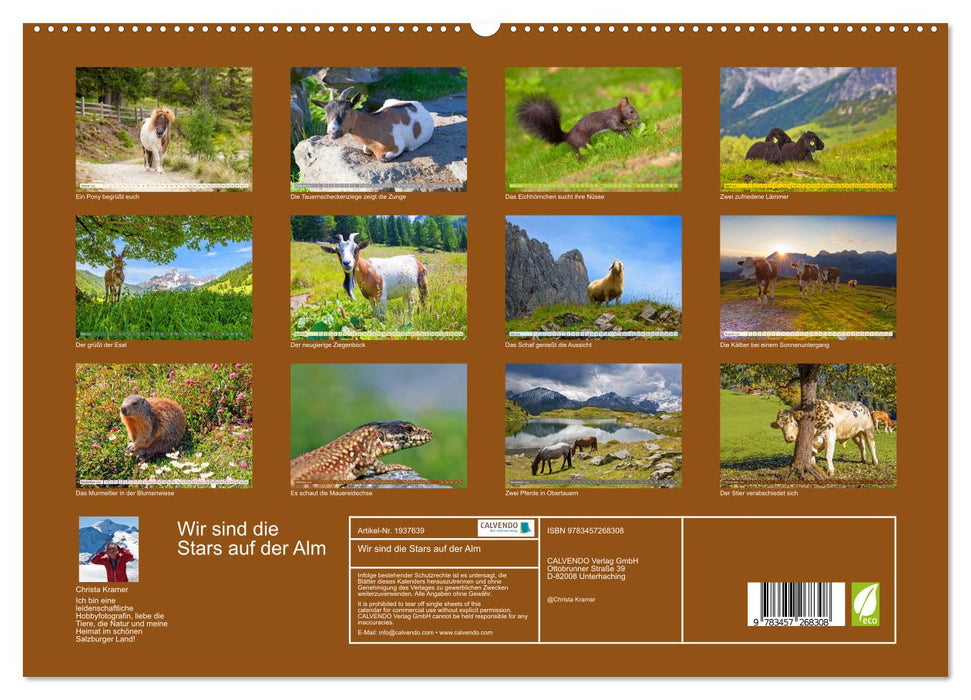 Wir sind die Stars auf der Alm (CALVENDO Premium Wandkalender 2026)