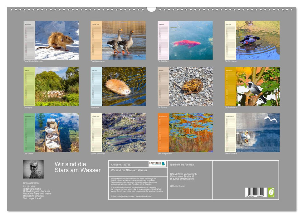 Wir sind die Stars am Wasser (CALVENDO Wandkalender 2026)