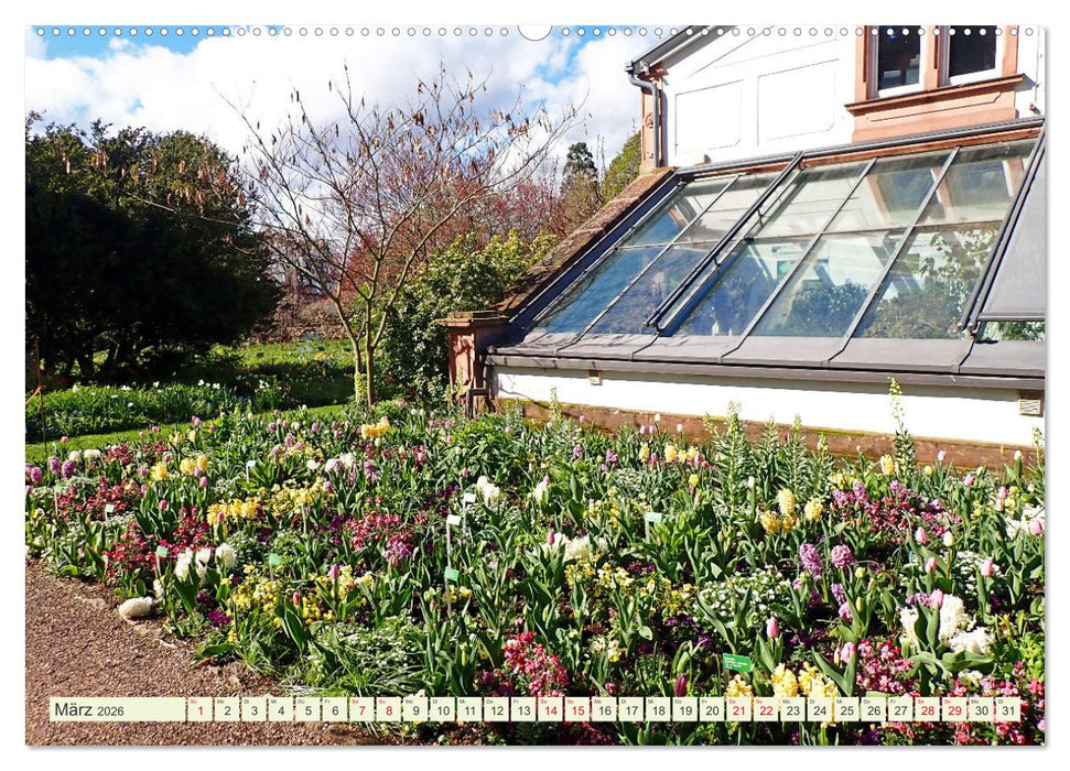 Weinheim erleben Schlosspark, Burgen und einladender Marktplatz (CALVENDO Wandkalender 2026)