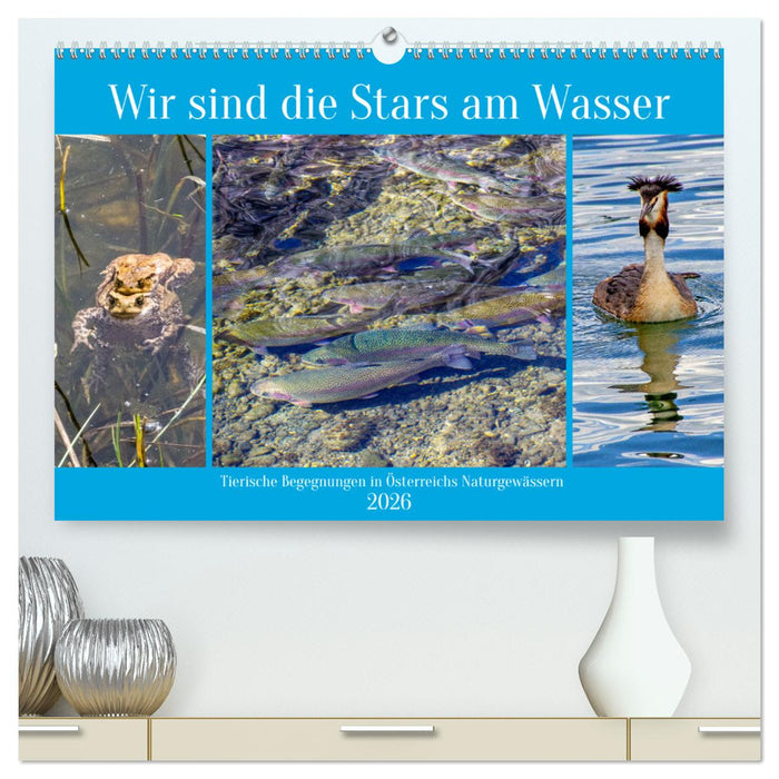 Wir sind die Stars am Wasser (CALVENDO Premium Wandkalender 2026)