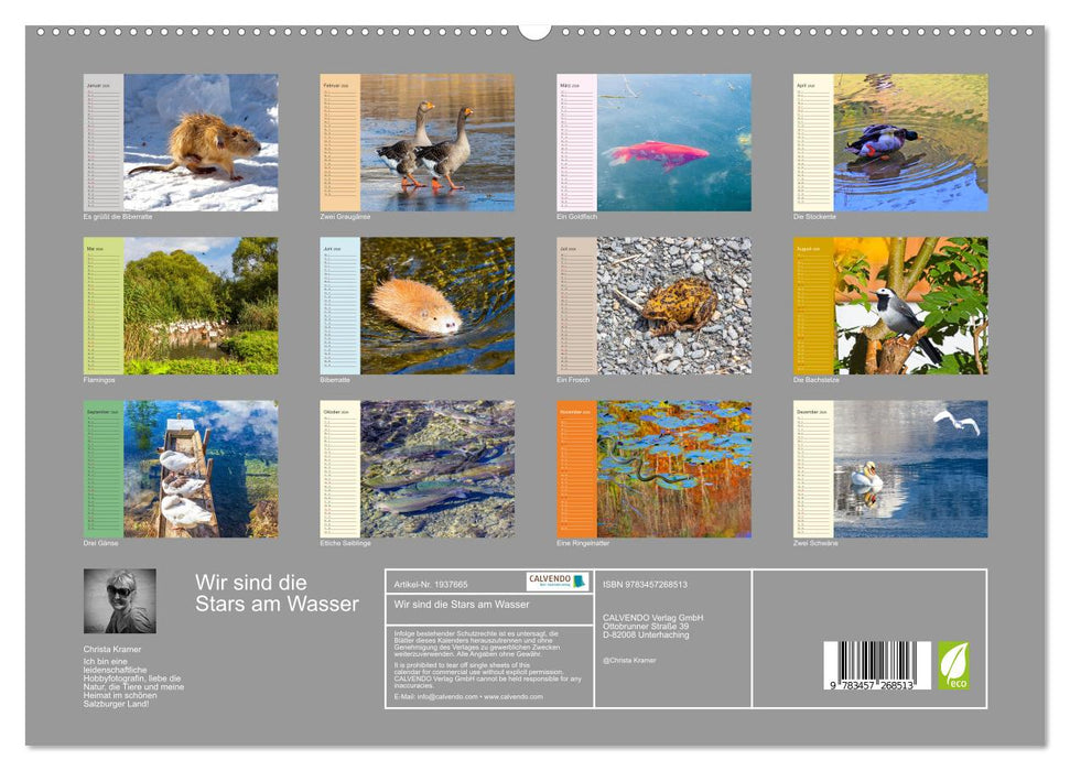 Wir sind die Stars am Wasser (CALVENDO Premium Wandkalender 2026)