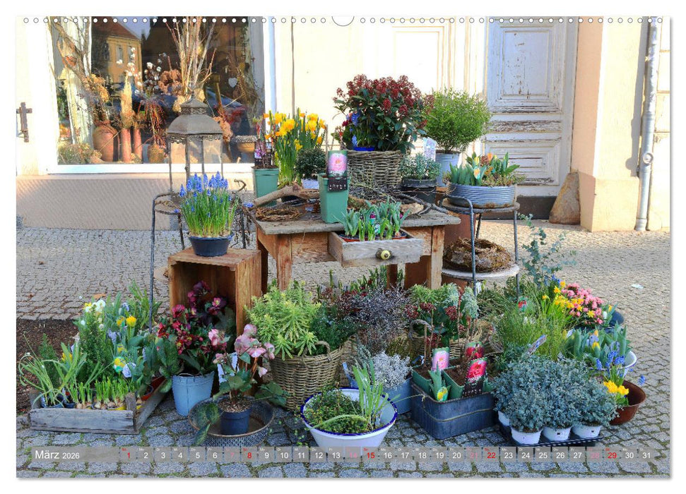 Brandenburg - Luckenwalde - Ein Stadtspaziergang (CALVENDO Wandkalender 2026)