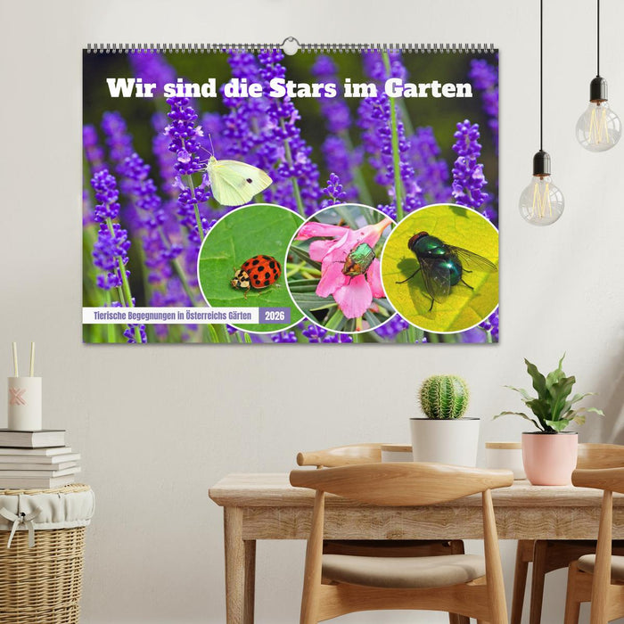 Wir sind die Stars im Garten (CALVENDO Wandkalender 2026)