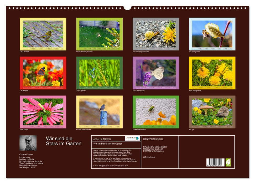 Wir sind die Stars im Garten (CALVENDO Wandkalender 2026)