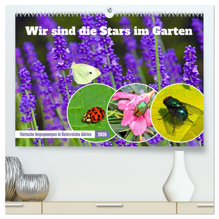 Wir sind die Stars im Garten (CALVENDO Premium Wandkalender 2026)