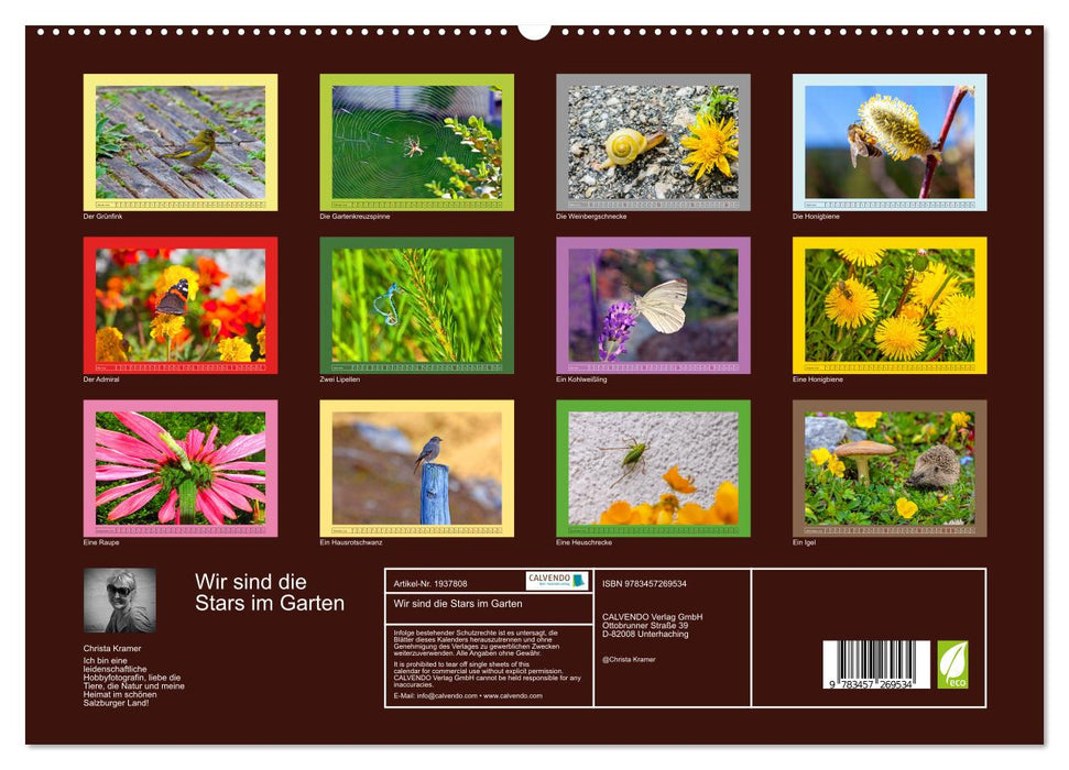 Wir sind die Stars im Garten (CALVENDO Premium Wandkalender 2026)