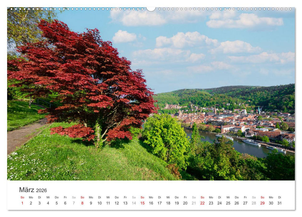 Heidelberg im Fokus (CALVENDO Wandkalender 2026)