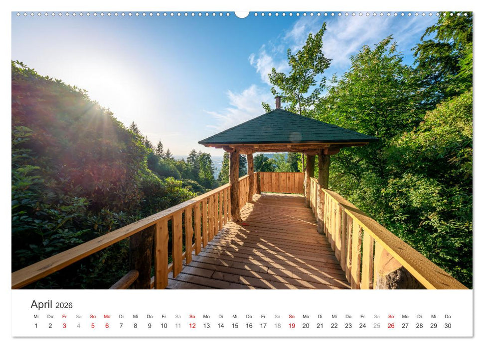 Heidelberg im Fokus (CALVENDO Premium Wandkalender 2026)