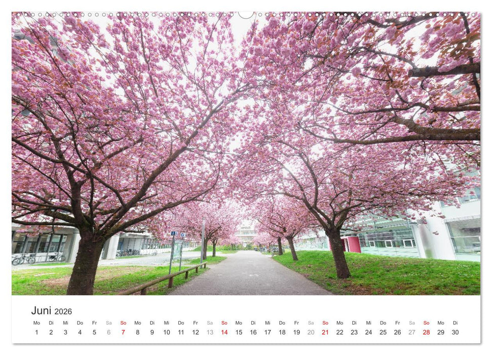 Heidelberg im Fokus (CALVENDO Premium Wandkalender 2026)