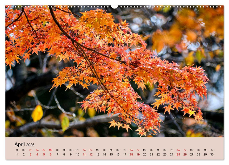 Japan im Herbst (CALVENDO Premium Wandkalender 2026)