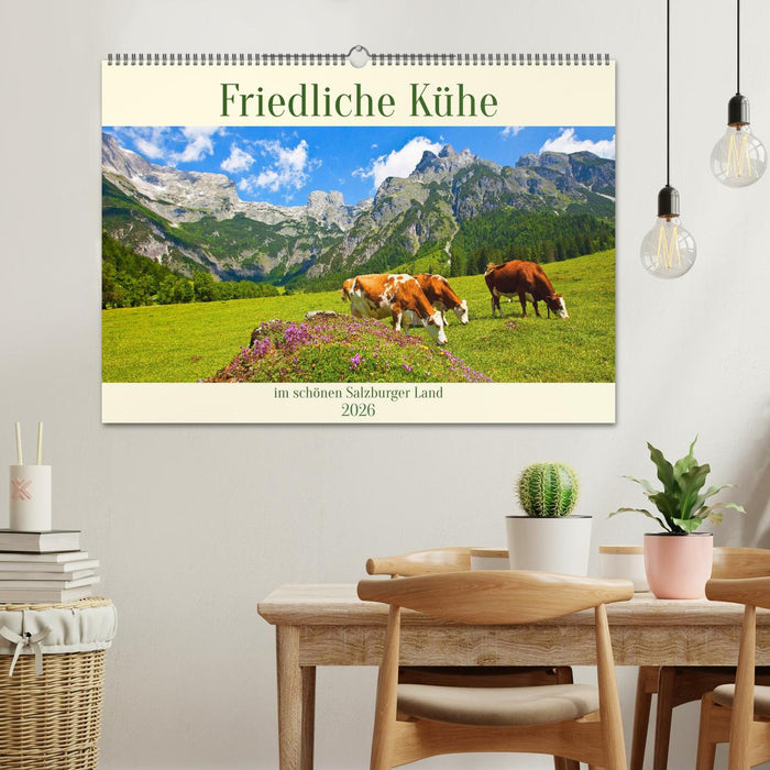 Friedliche Kühe (CALVENDO Wandkalender 2026)