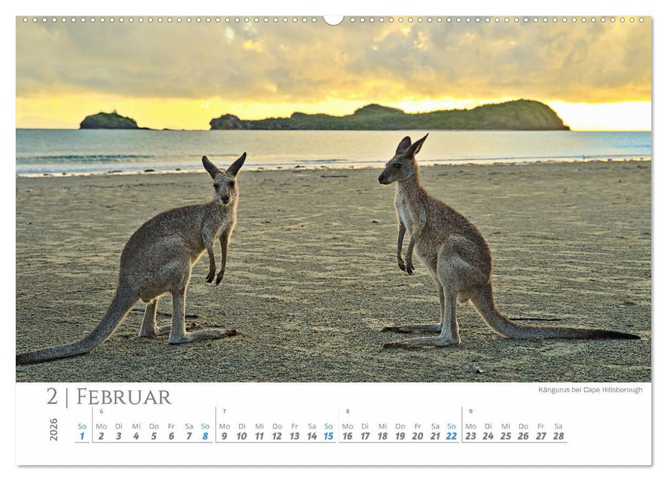 Australien - Highlights Ostküste (CALVENDO Wandkalender 2026)