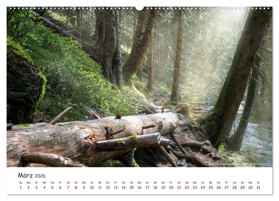 Heimat Entdecken - Eifel (CALVENDO Premium Wandkalender 2026)