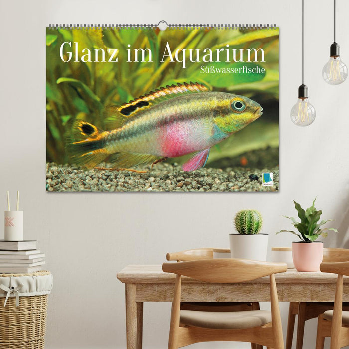 Glanz im Aquarium: Süßwasserfische (CALVENDO Wandkalender 2026)