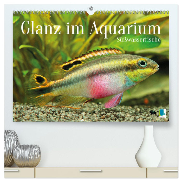 Glanz im Aquarium: Süßwasserfische (CALVENDO Premium Wandkalender 2026)