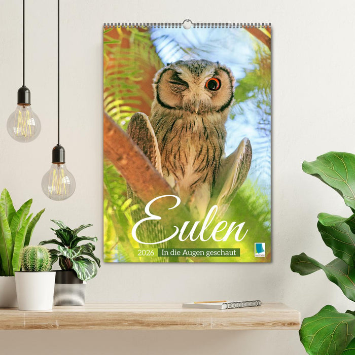 Eulen: In die Augen geschaut (CALVENDO Wandkalender 2026)