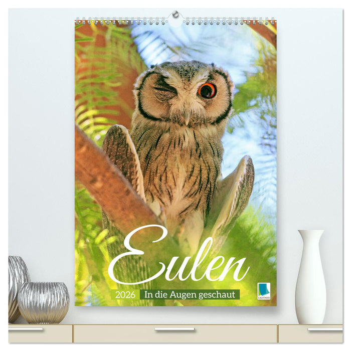 Eulen: In die Augen geschaut (CALVENDO Premium Wandkalender 2026)