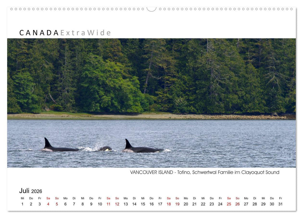 Vancouver Island Panoramabilder (CALVENDO Premium Wandkalender 2026)