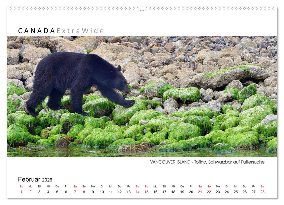 Vancouver Island Panoramabilder (CALVENDO Wandkalender 2026)