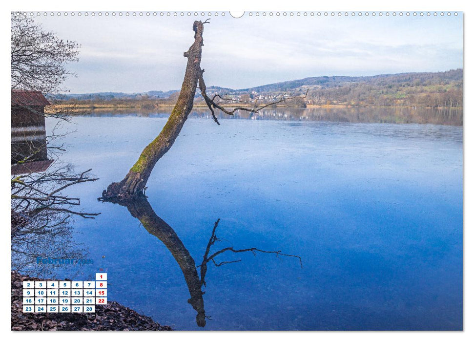 Markelfingen am Bodensee (CALVENDO Wandkalender 2026)