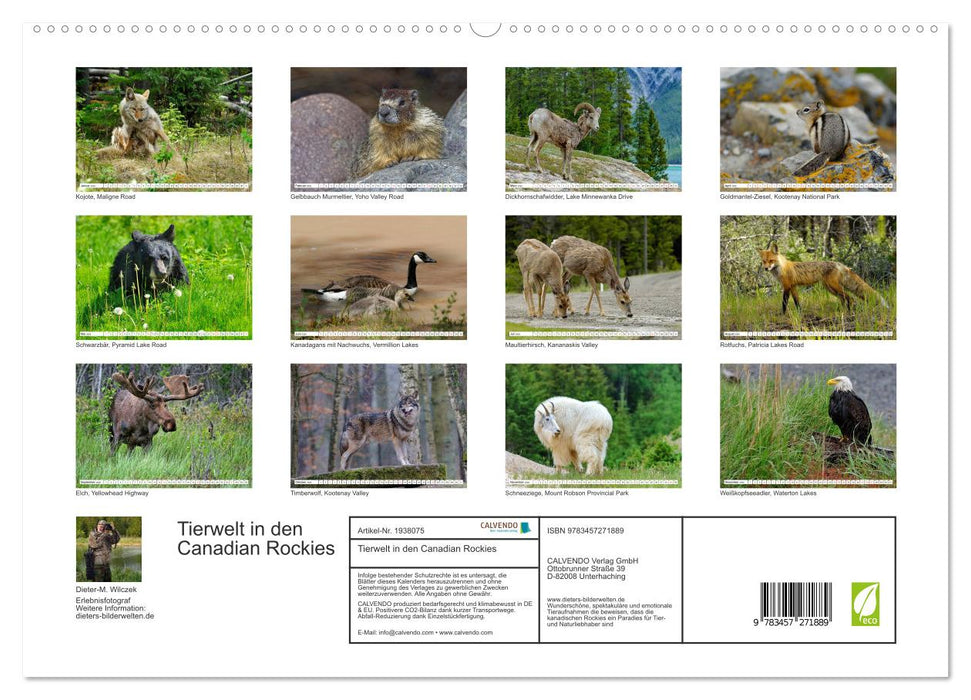 Tierwelt in den Canadian Rockies (CALVENDO Premium Wandkalender 2026)