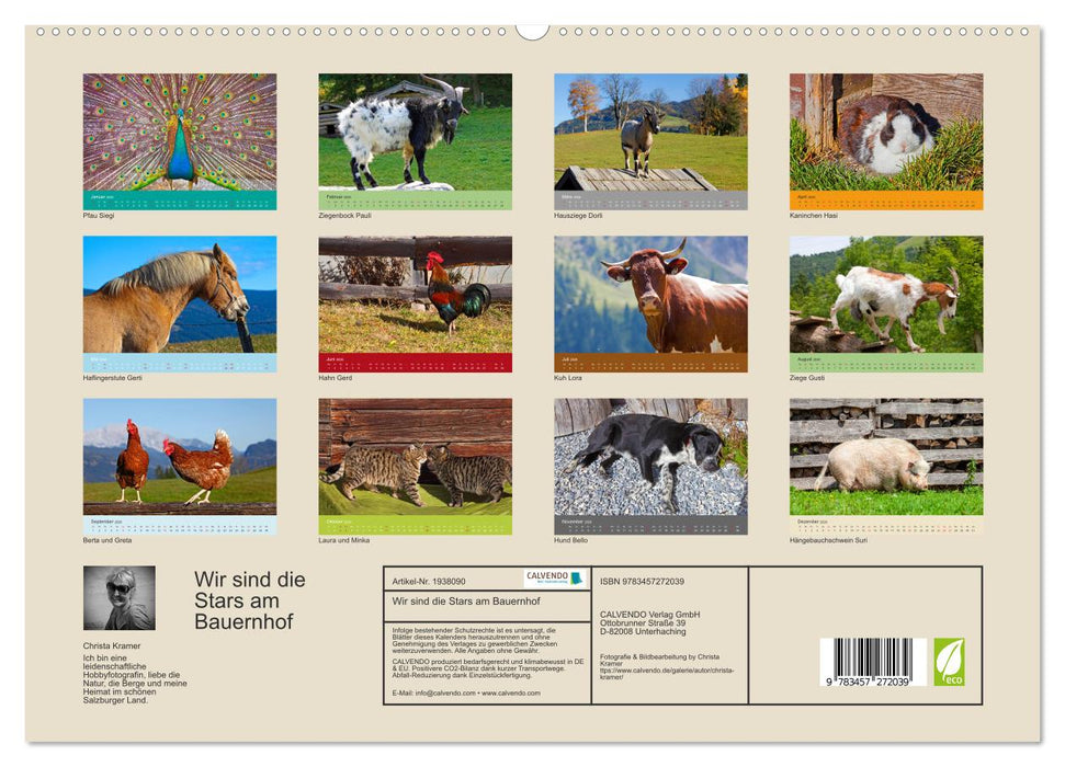 Wir sind die Stars am Bauernhof (CALVENDO Premium Wandkalender 2026)