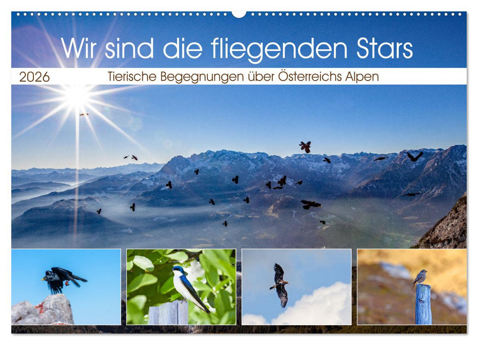 Wir sind die fliegenden Stars (CALVENDO Wandkalender 2026)