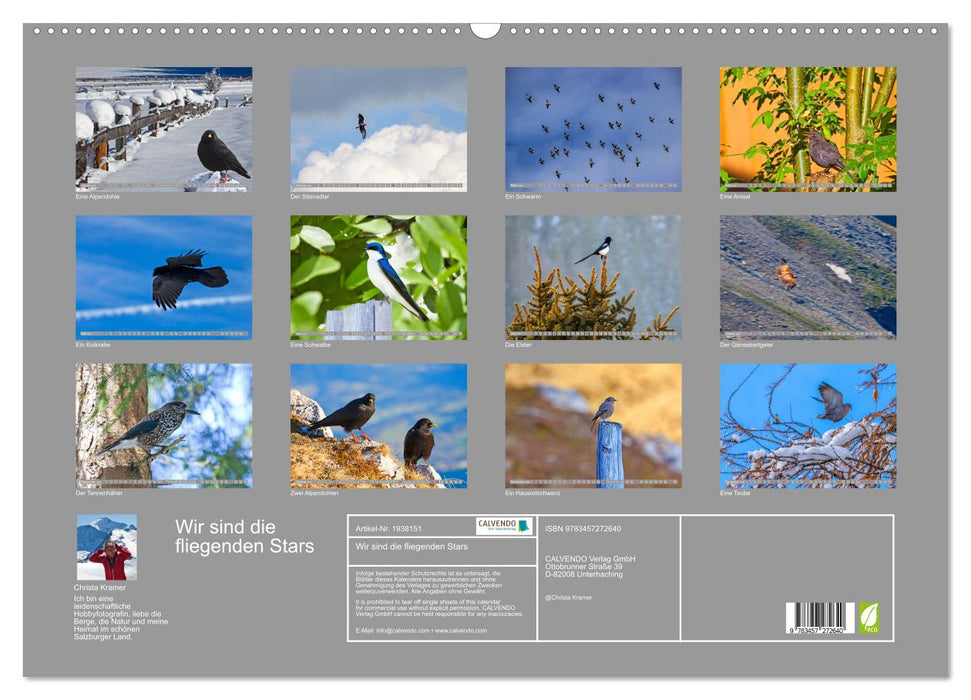 Wir sind die fliegenden Stars (CALVENDO Wandkalender 2026)