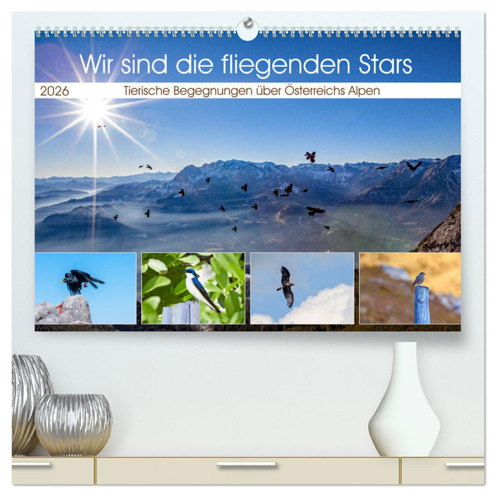 Wir sind die fliegenden Stars (CALVENDO Premium Wandkalender 2026)