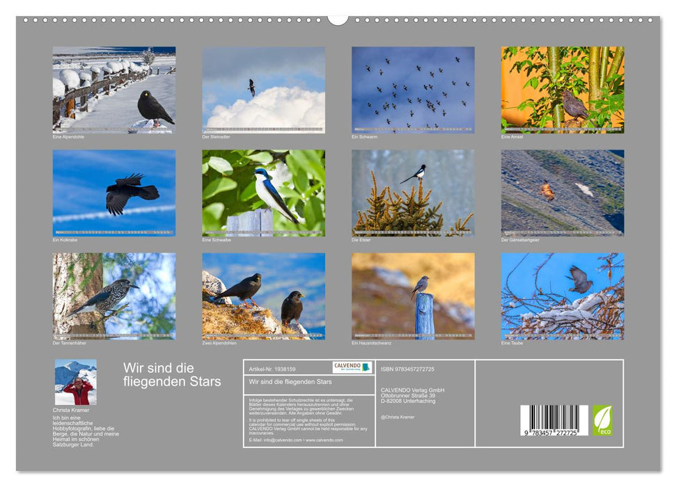 Wir sind die fliegenden Stars (CALVENDO Premium Wandkalender 2026)